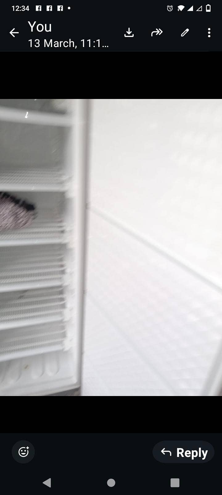 standing freezer 4