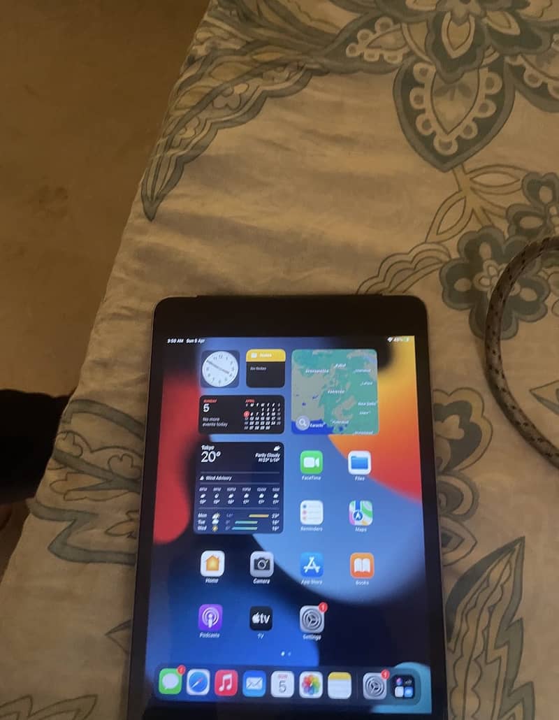 Ipad Mini 4 0