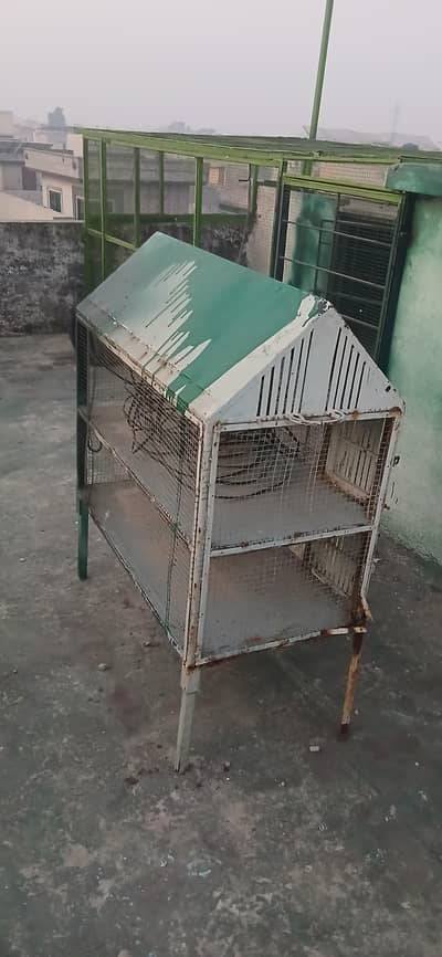 love bird Tote cat choose Kuchh Bhi Rakh sakte hain do portion