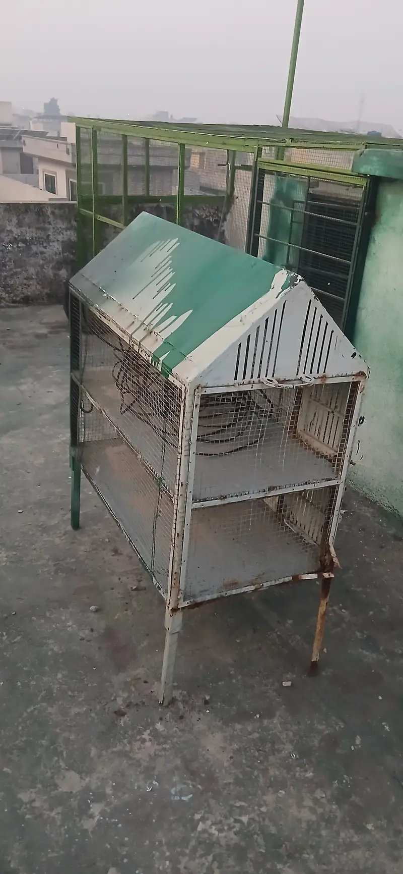 love bird Tote cat choose Kuchh Bhi Rakh sakte hain do portion