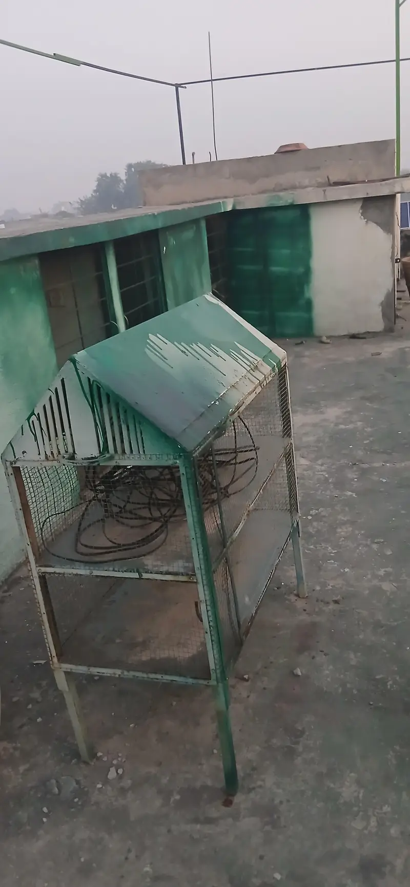 love bird Tote cat choose Kuchh Bhi Rakh sakte hain do portion — photo 2