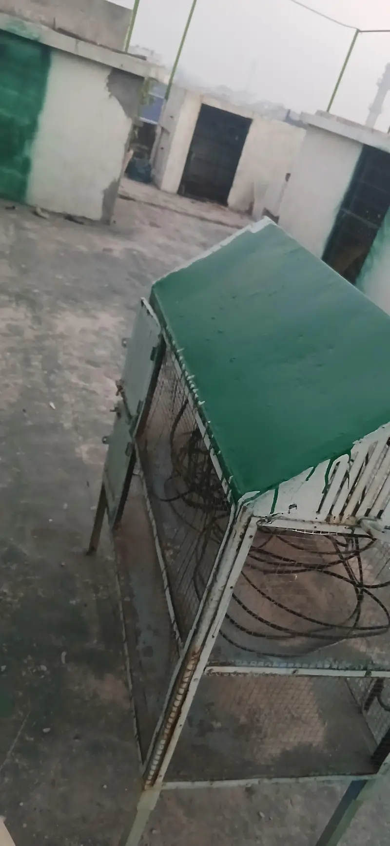 love bird Tote cat choose Kuchh Bhi Rakh sakte hain do portion — photo 5