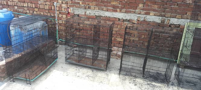 Birds Cages heavyweight