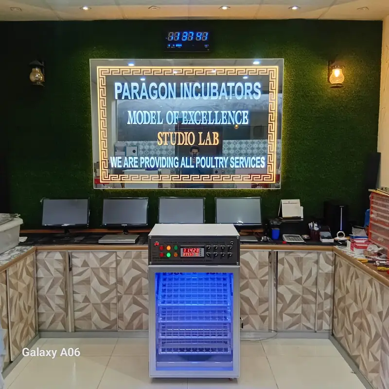 350 Eggs Incubators | Automatic Incubator In Lahore — photo 3