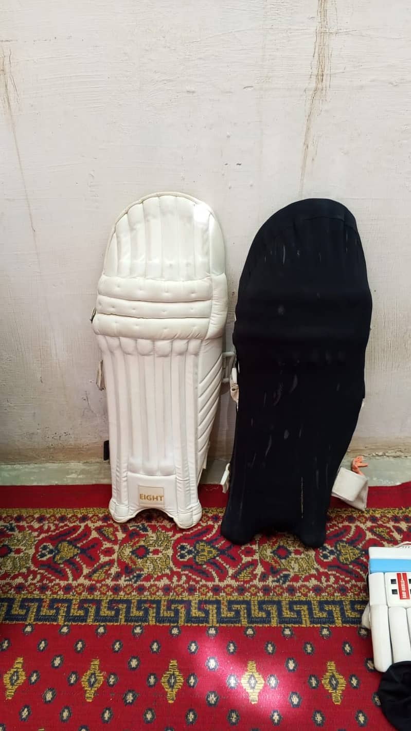 cricket kit 3