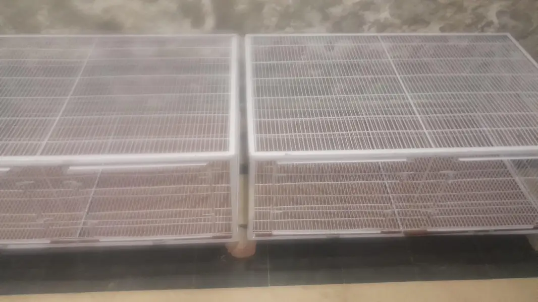 Cage For Hen/Rabbit/Pigeon/Duck — photo 2