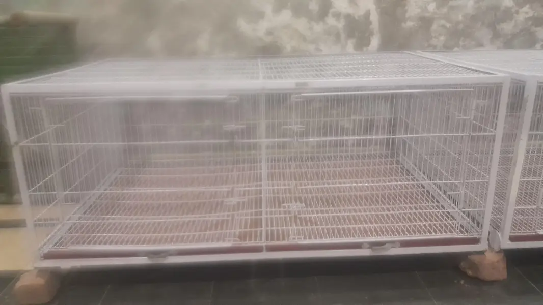 Cage For Hen/Rabbit/Pigeon/Duck — photo 3