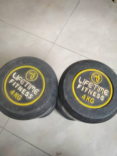 4 kg pair (4+4)