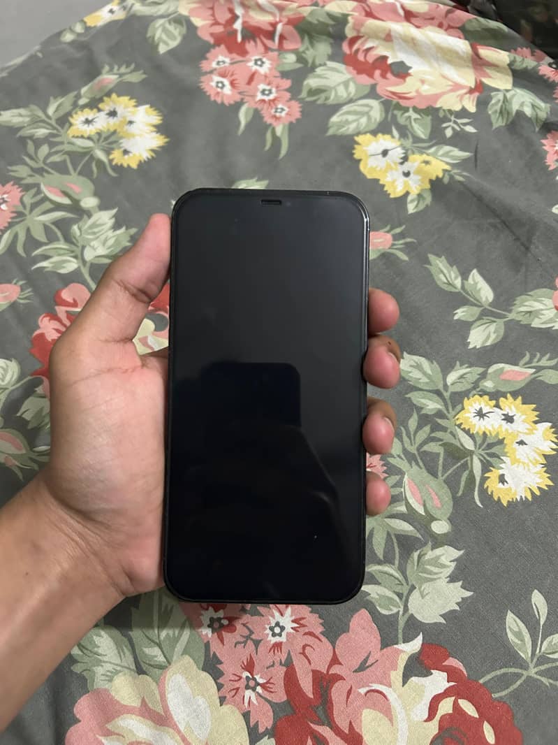 iphone 12 pro max 1