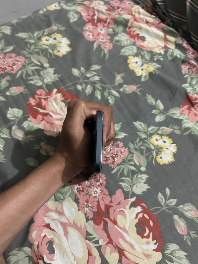 iphone 12 pro max 2