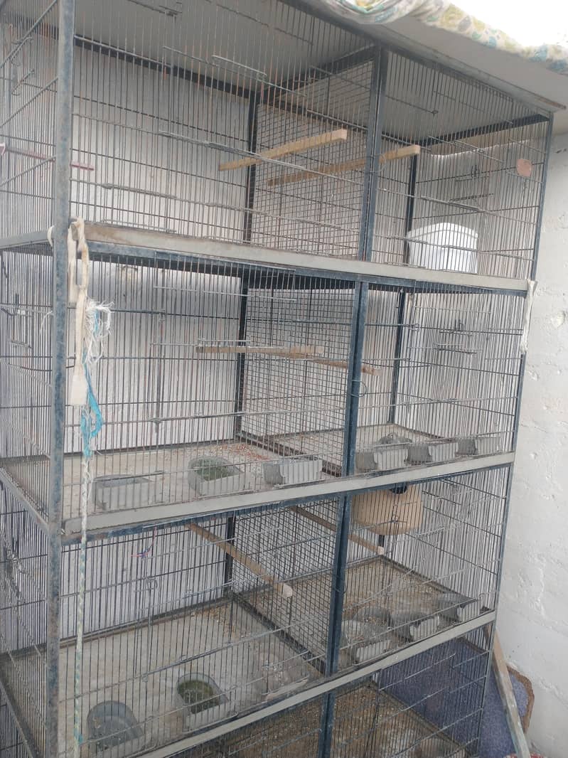 8 Portion Cage 1