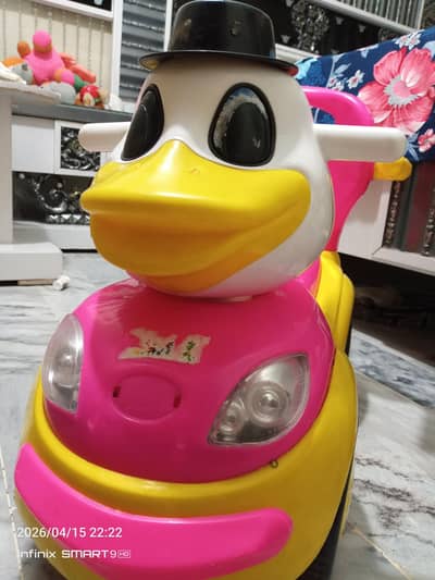 duck gari