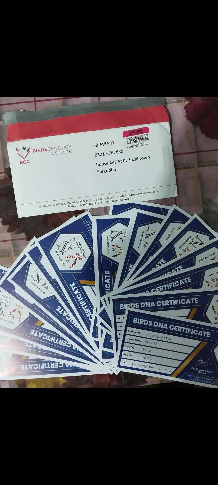 Breader pairs with DNA n complete history — photo 2