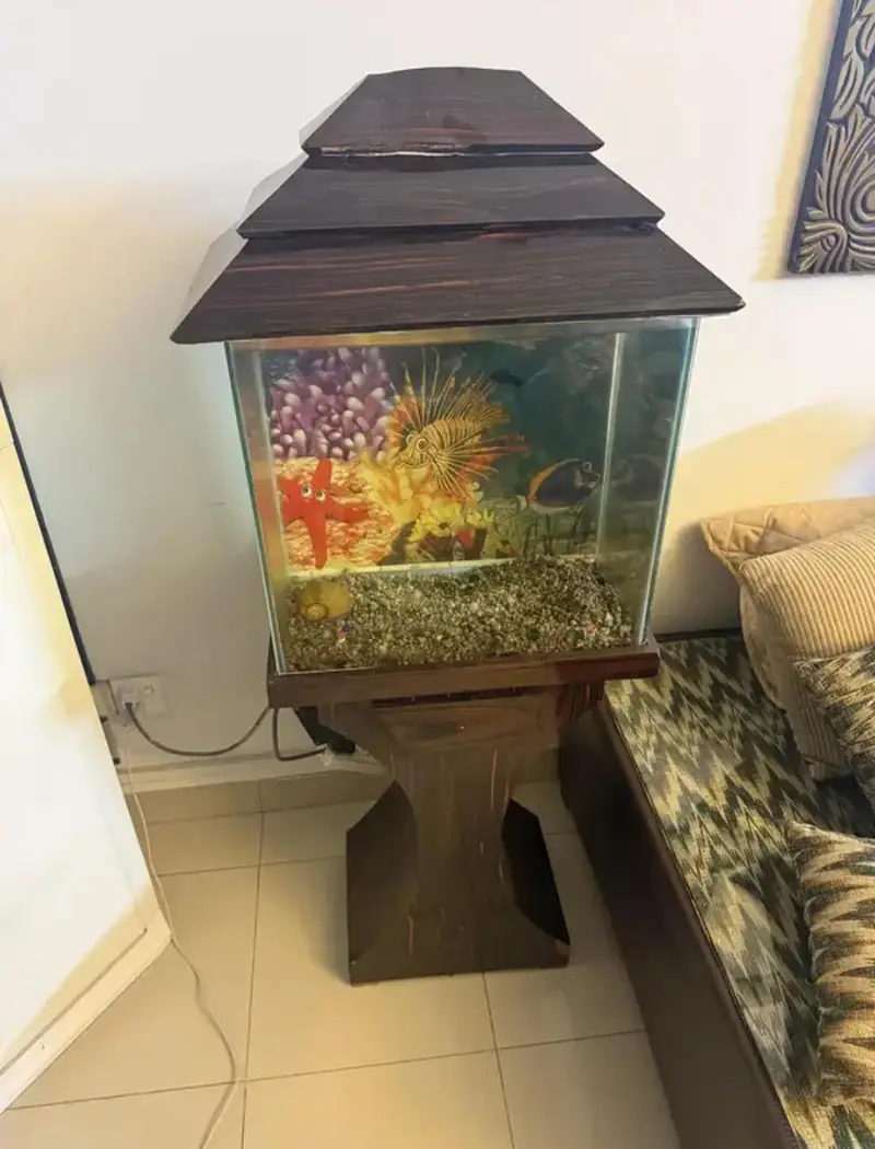 Acquarium Available for Sale — photo 3