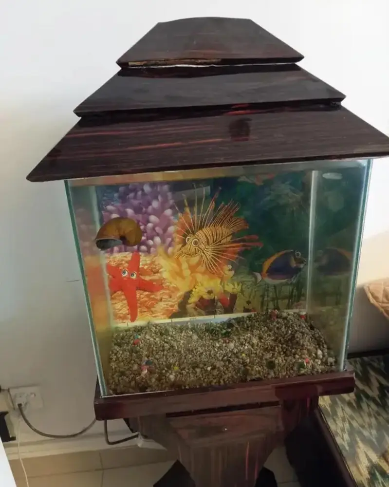 Acquarium Available for Sale — photo 5