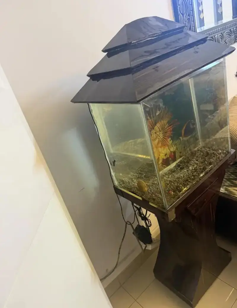 Acquarium Available for Sale — photo 2