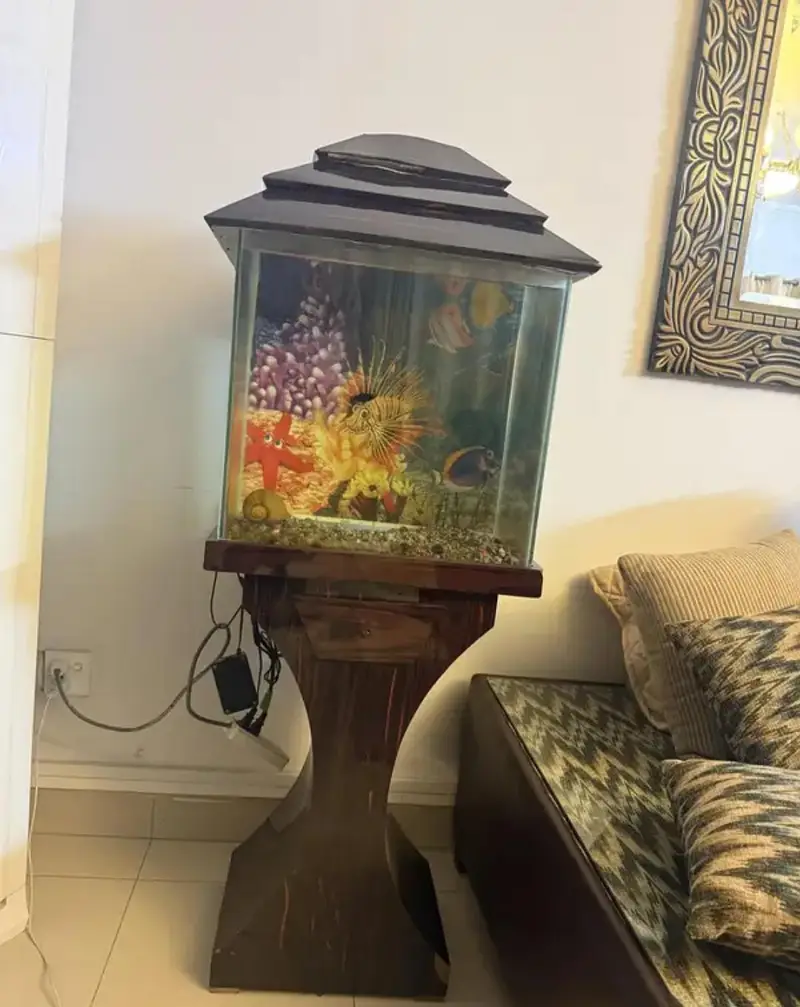 Acquarium Available for Sale — photo 6