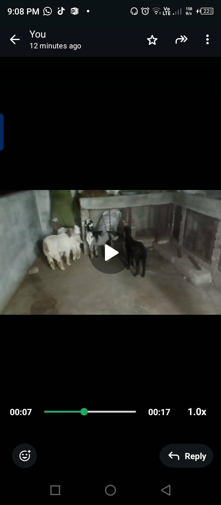 3 Male 1 female 4