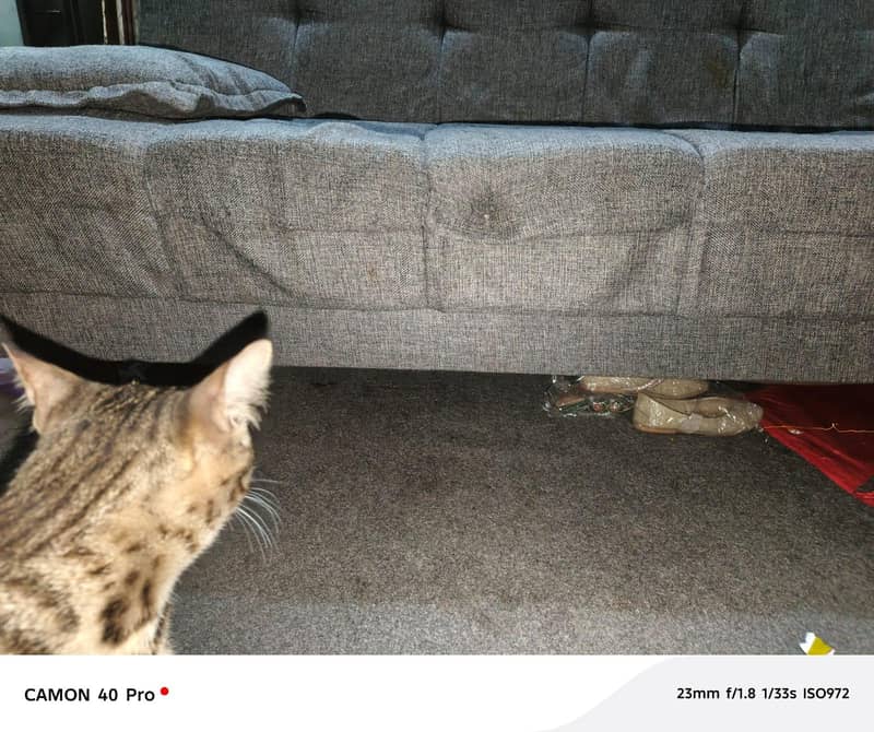 Sofa cam bed 1