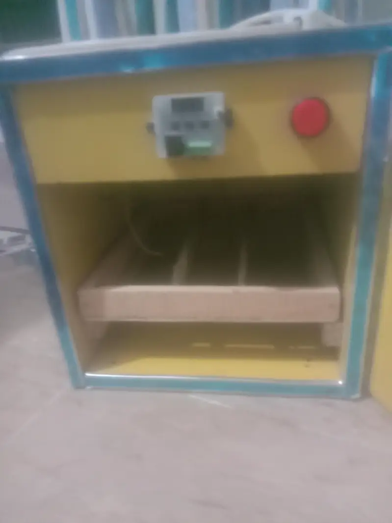 incubator of 30 eggs — photo 2
