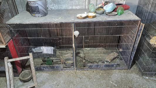 aseel cages