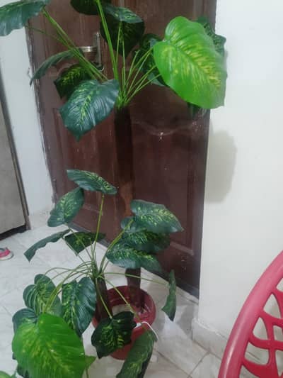 artificial plants