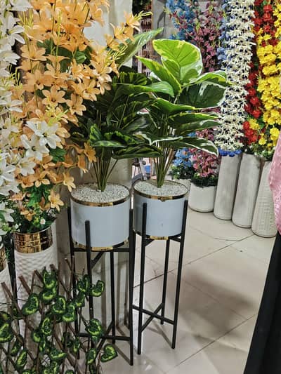 2 Beautiful big pot with big leaves and its stand