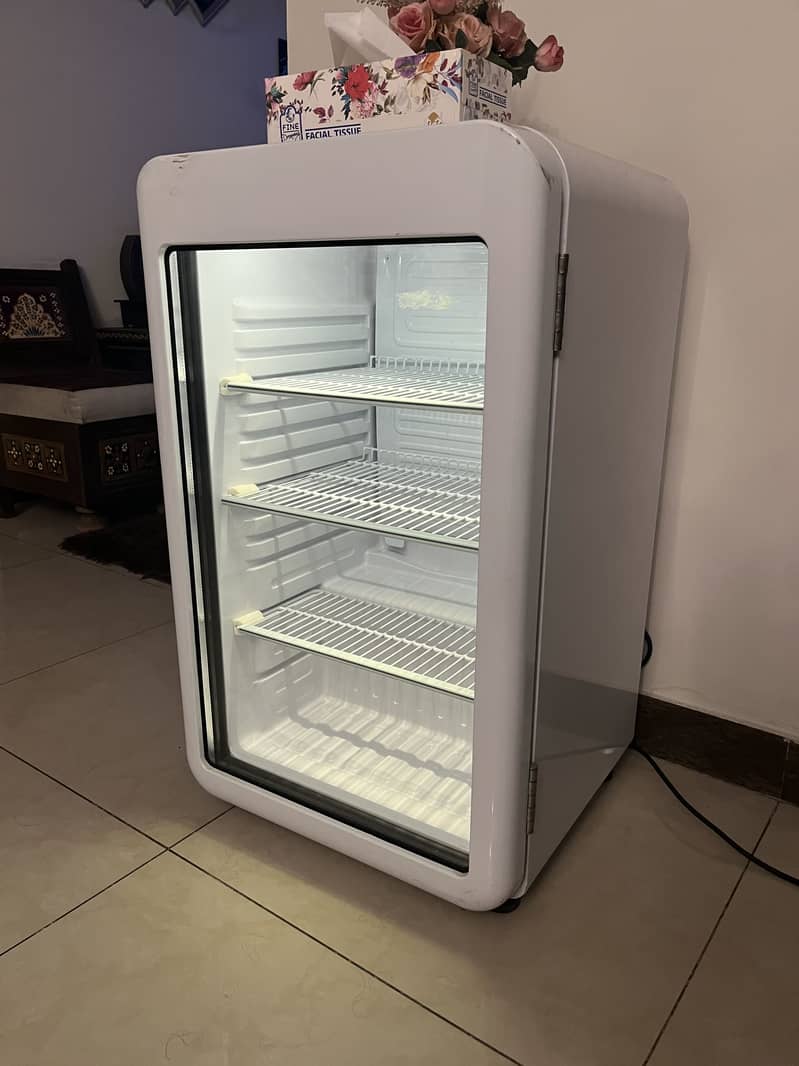 Mini Fridge 0