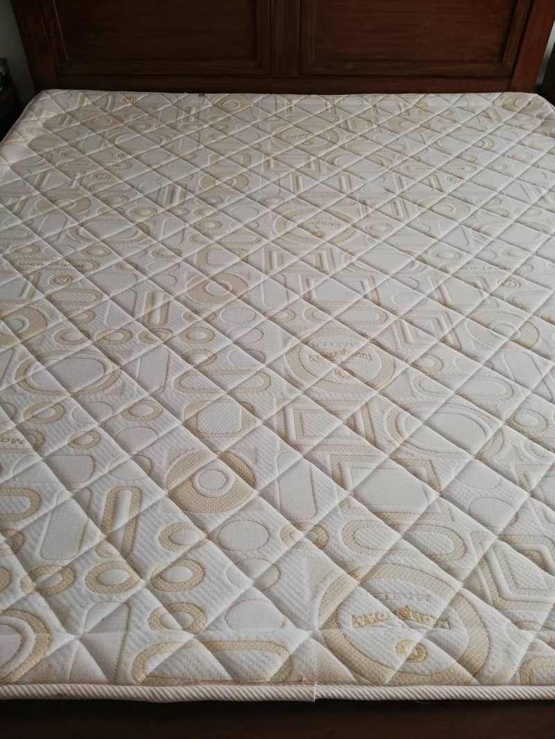 Master Foam Plus 1