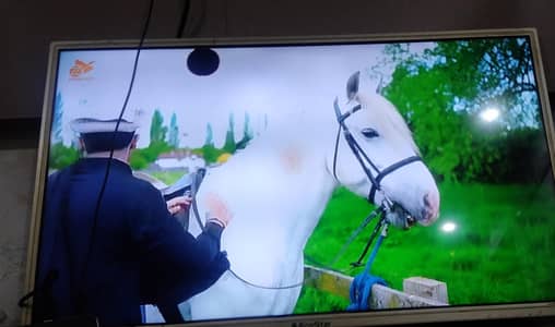 32 inches Led in H13 Islamabad,call 03452640135