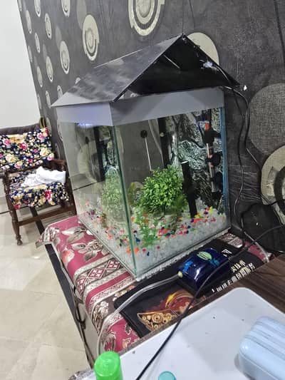 1.5 feet aquarium  with pump and filter