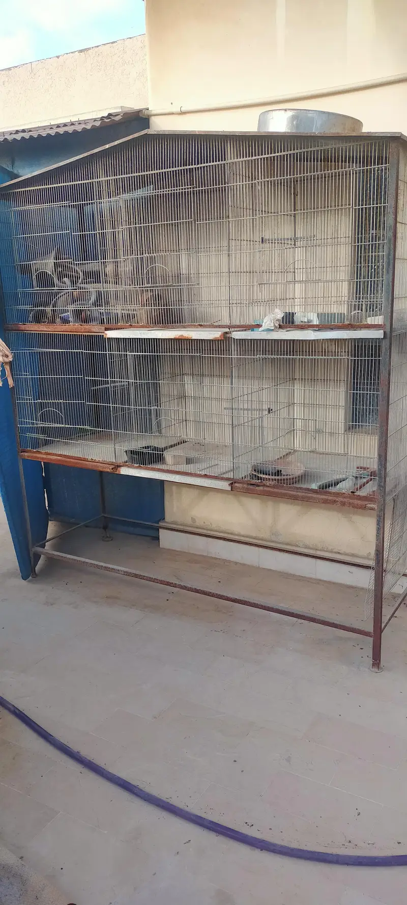 parrots cage — photo 2
