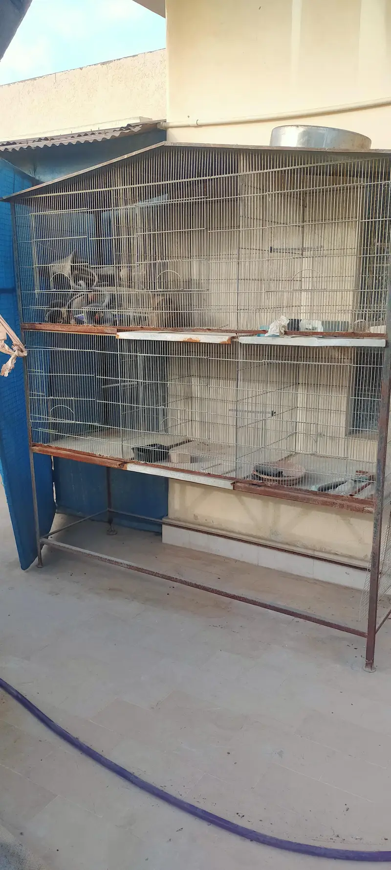 parrots cage — photo 3