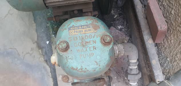 Donkey Pump (Golden) Water Motor