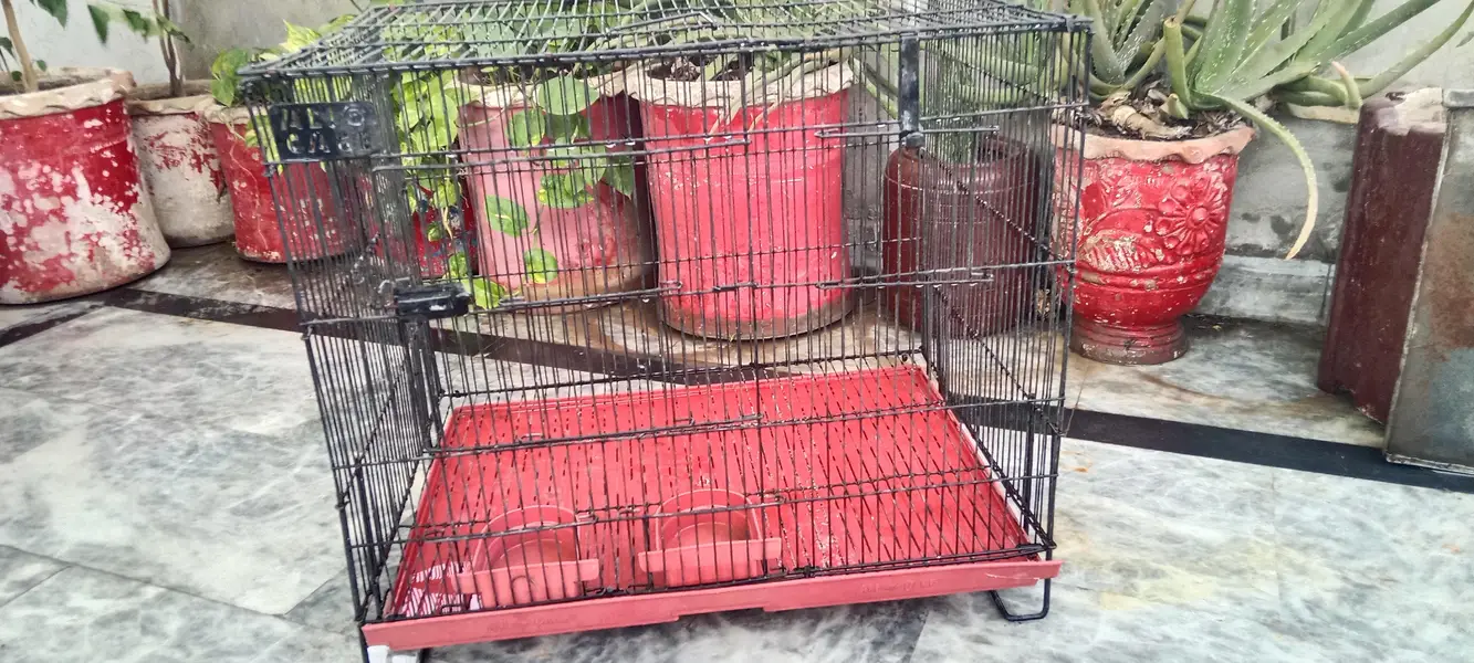 Cage for use pets and parrots also