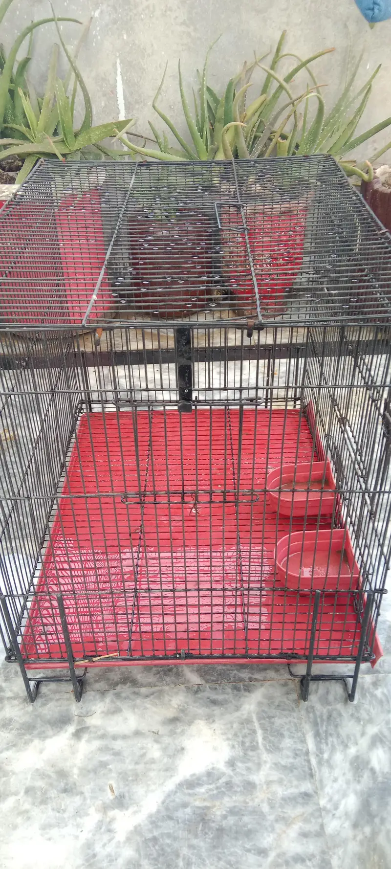 Cage for use pets and parrots also — photo 2