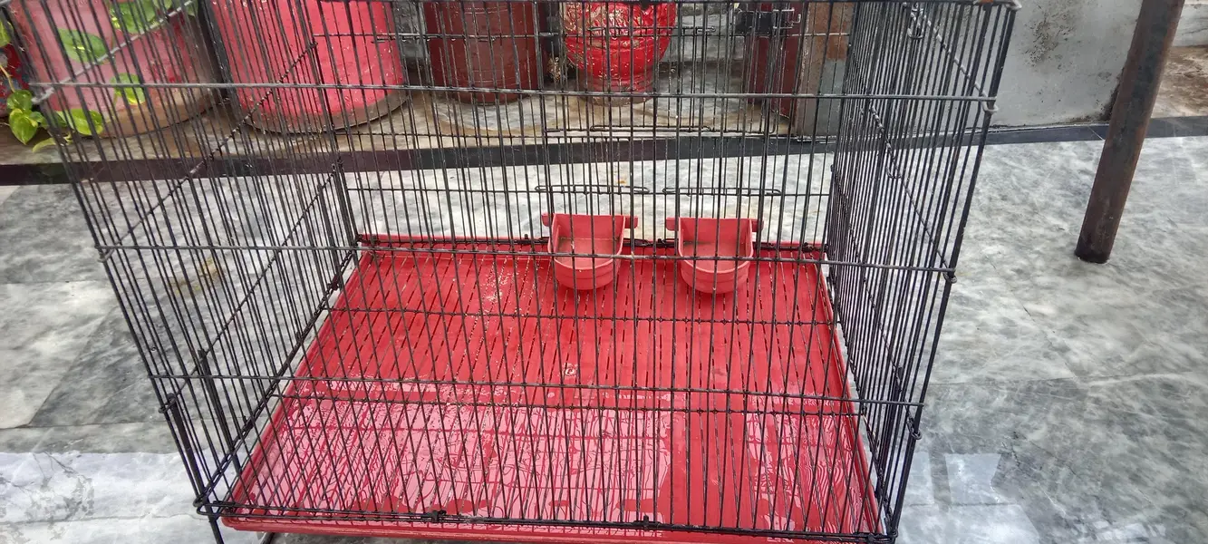 Cage for use pets and parrots also — photo 3
