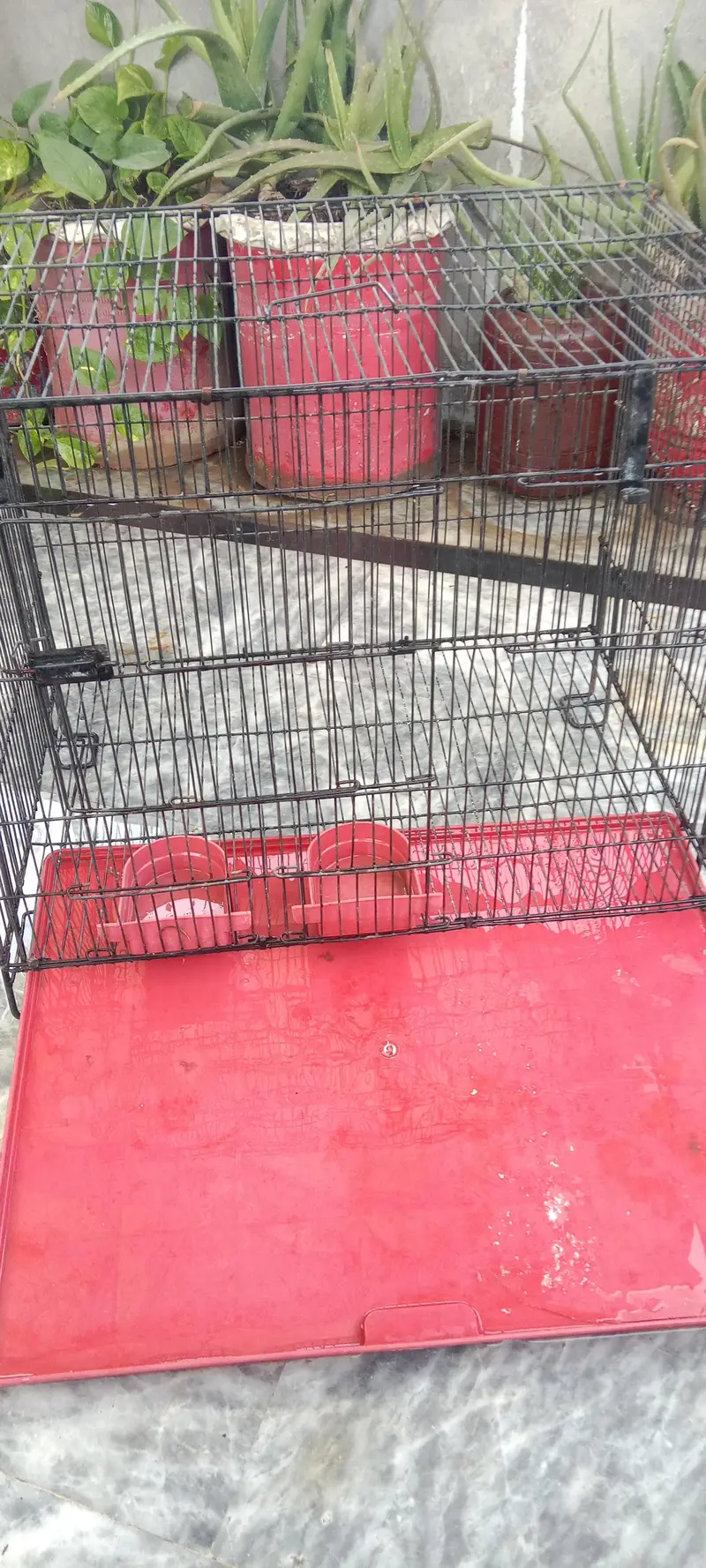 Cage for use pets and parrots also — photo 4