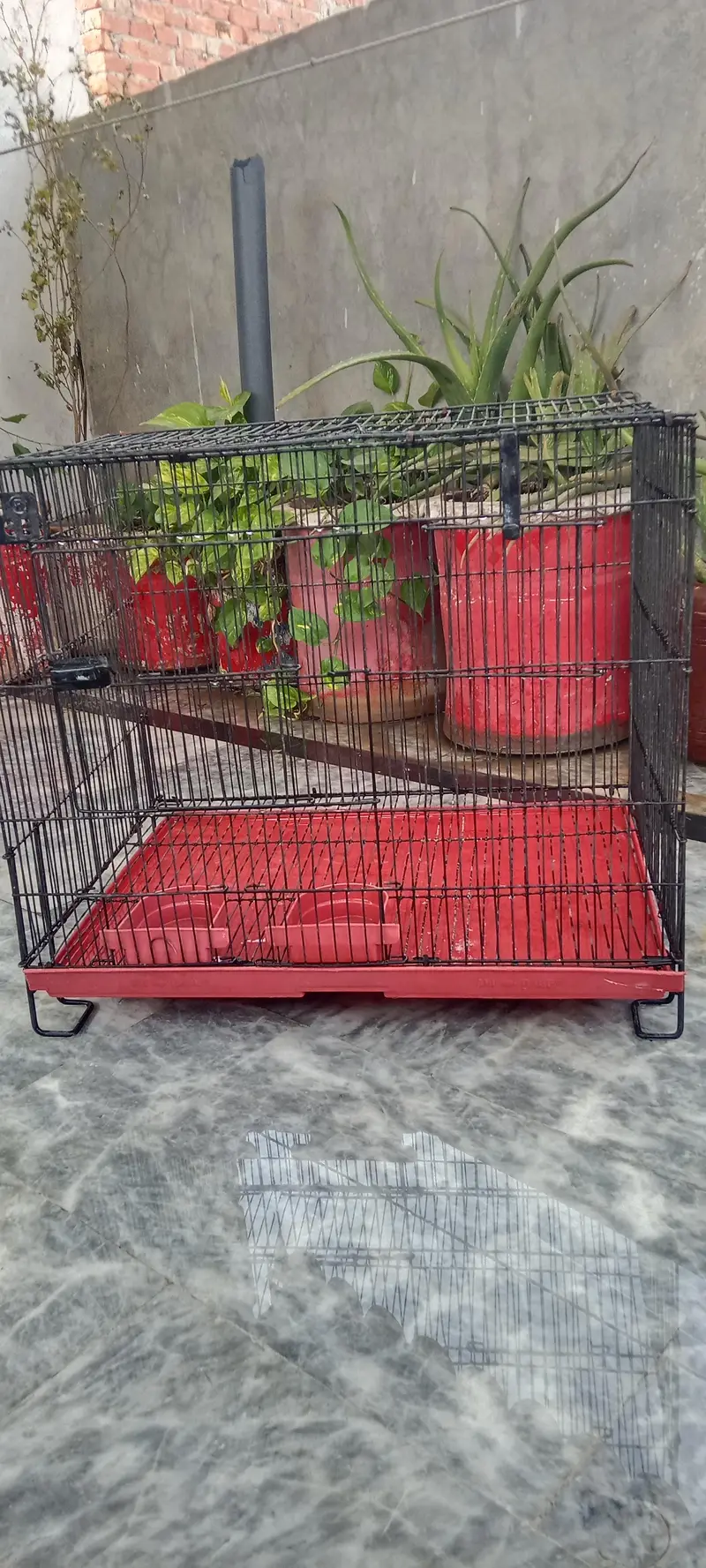 Cage for use pets and parrots also — photo 5