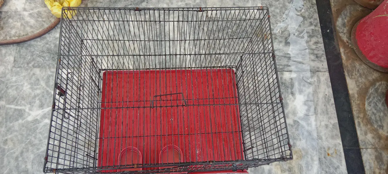 Cage for use pets and parrots also — photo 6