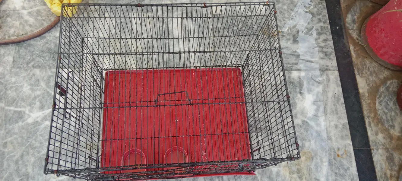 Cage for use pets and parrots also — photo 7