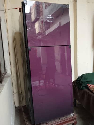 freg for sell