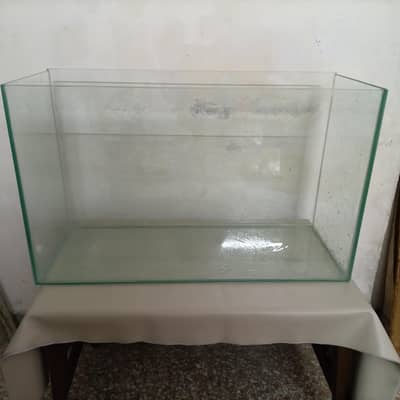 Fish Aquarium