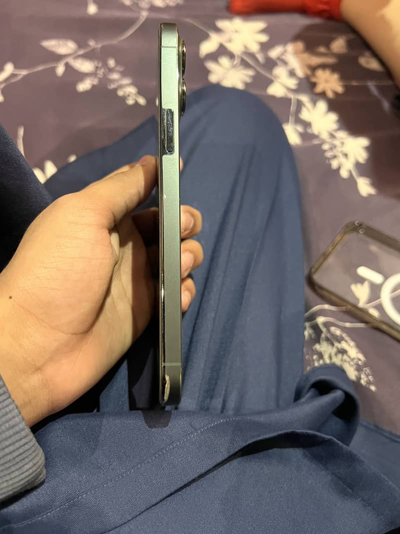 13 pro max 2