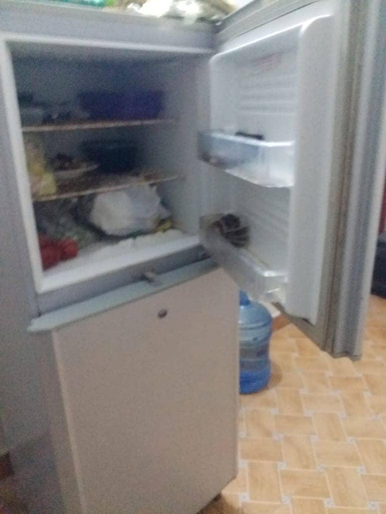 Pal frige 1