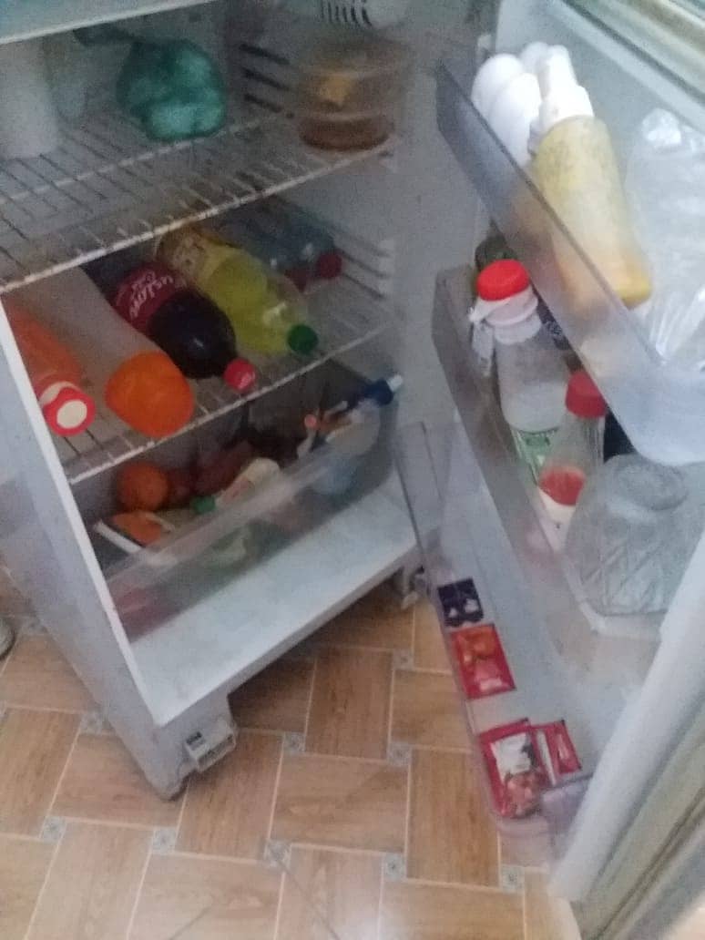 Pal frige 2