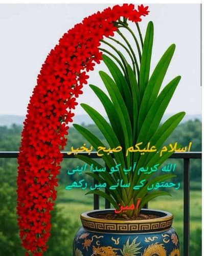 Akhtar@6876