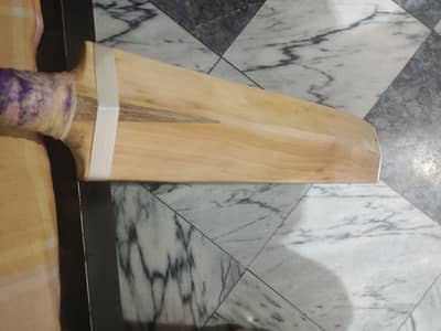 English Willow Cricket Bat with cover