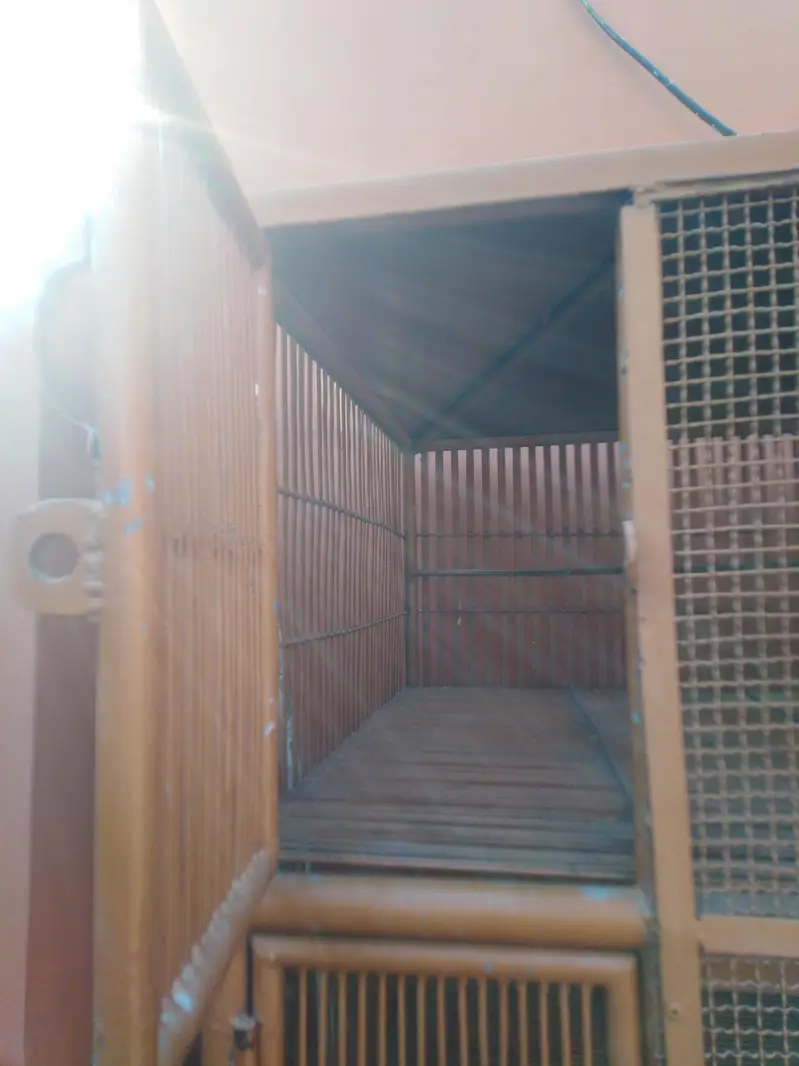 Iron cage 0301+5988707 — photo 2