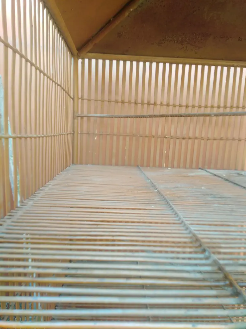 Iron cage 0301+5988707 — photo 3